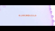 哈士奇吃草呕吐怎么办