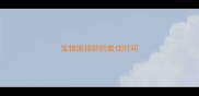宠物测排卵的最佳时间