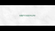 幼猫不打疫苗可以吗