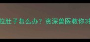 哈士奇喝纯牛奶拉肚子怎么办资深兽医教你3招解决肠胃不适