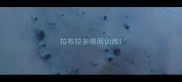 拉布拉多嗅闻训练