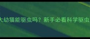 两个月大幼猫能驱虫吗新手必看科学驱虫全攻略