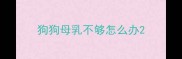 狗狗母乳不够怎么办