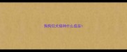 狗狗狂犬接种什么疫苗