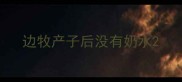 边牧产子后没有奶水