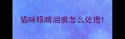 猫咪眼睛泪痕怎么处理
