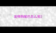 宠物狗尾巴怎么剪