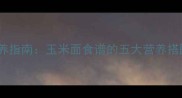 泰迪犬科学喂养指南玉米面食谱的五大营养搭配与注意事项
