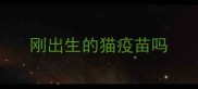 刚出生的猫疫苗吗