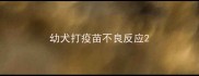 幼犬打疫苗不良反应