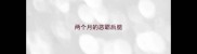 两个月的恶霸后腿