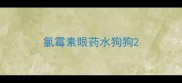 氯霉素眼药水狗狗