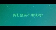 狗打疫苗不用钱吗