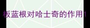 板蓝根对哈士奇的作用