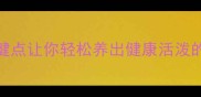 泰迪犬饲养全攻略5大关键点让你轻松养出健康活泼的毛孩子附日常护理清单