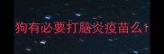 狗有必要打脑炎疫苗么