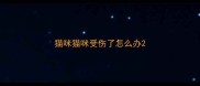 猫咪猫咪受伤了怎么办