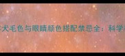 边境牧羊犬毛色与眼睛颜色搭配禁忌全科学养护指南