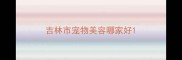 吉林市宠物美容哪家好