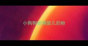 小狗狗能喝婴儿奶粉