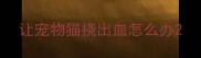 让宠物猫挠出血怎么办