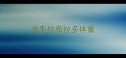 金毛拉布拉多体重