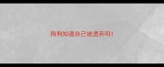 狗狗知道自己被遗弃吗