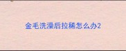 金毛洗澡后拉稀怎么办