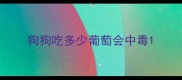狗狗吃多少葡萄会中毒