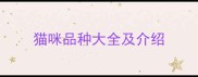 猫咪品种大全及介绍