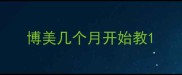 博美几个月开始教