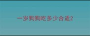 一岁狗狗吃多少合适