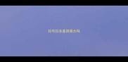 拉布拉多基因强大吗