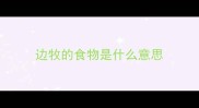 边牧的食物是什么意思