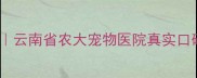 昆明宠物医院推荐云南省农大宠物医院真实口碑附就诊攻略