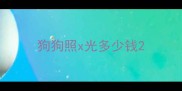 狗狗照x光多少钱