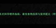 拉布拉多犬科学喂养指南最佳食物选择与营养配比附食谱