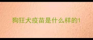 狗狂犬疫苗是什么样的