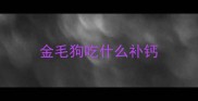 金毛狗吃什么补钙