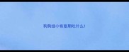 狗狗细小恢复期吃什么