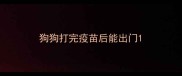 狗狗打完疫苗后能出门