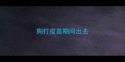 狗打疫苗期间出去