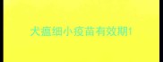 犬瘟细小疫苗有效期