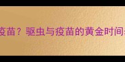 驱虫后多久打疫苗驱虫与疫苗的黄金时间表及注意事项