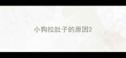 小狗拉肚子的原因
