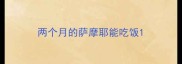 两个月的萨摩耶能吃饭