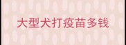 大型犬打疫苗多钱