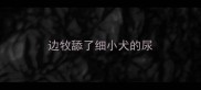 边牧舔了细小犬的尿