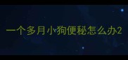 一个多月小狗便秘怎么办