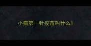 小猫第一针疫苗叫什么